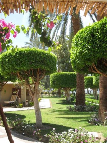 Jolie Ville Resort & Spa Kings Island Luxor - image 4