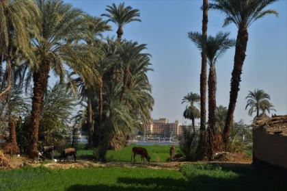 Thebes Hotel - image 16