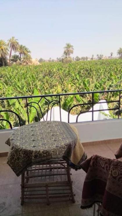 Villa Quiet Place - image 7