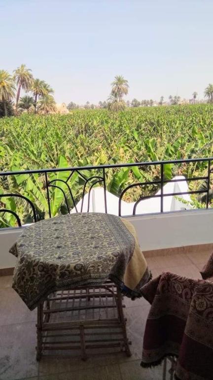 Villa Quiet Place - image 7