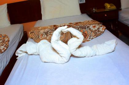 hotel shady - image 28