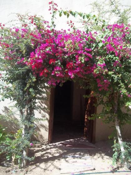 Nour El Gourna - image 1