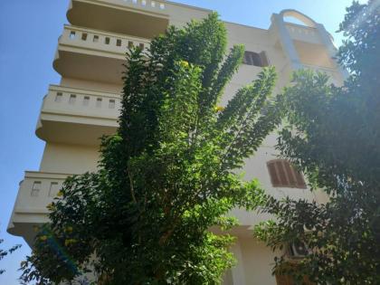Elsanosy Family Guest House - Luxor - image 22