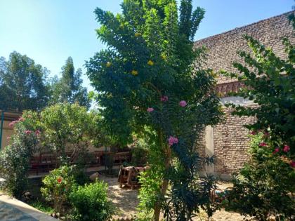 Elsanosy Family Guest House - Luxor - image 23